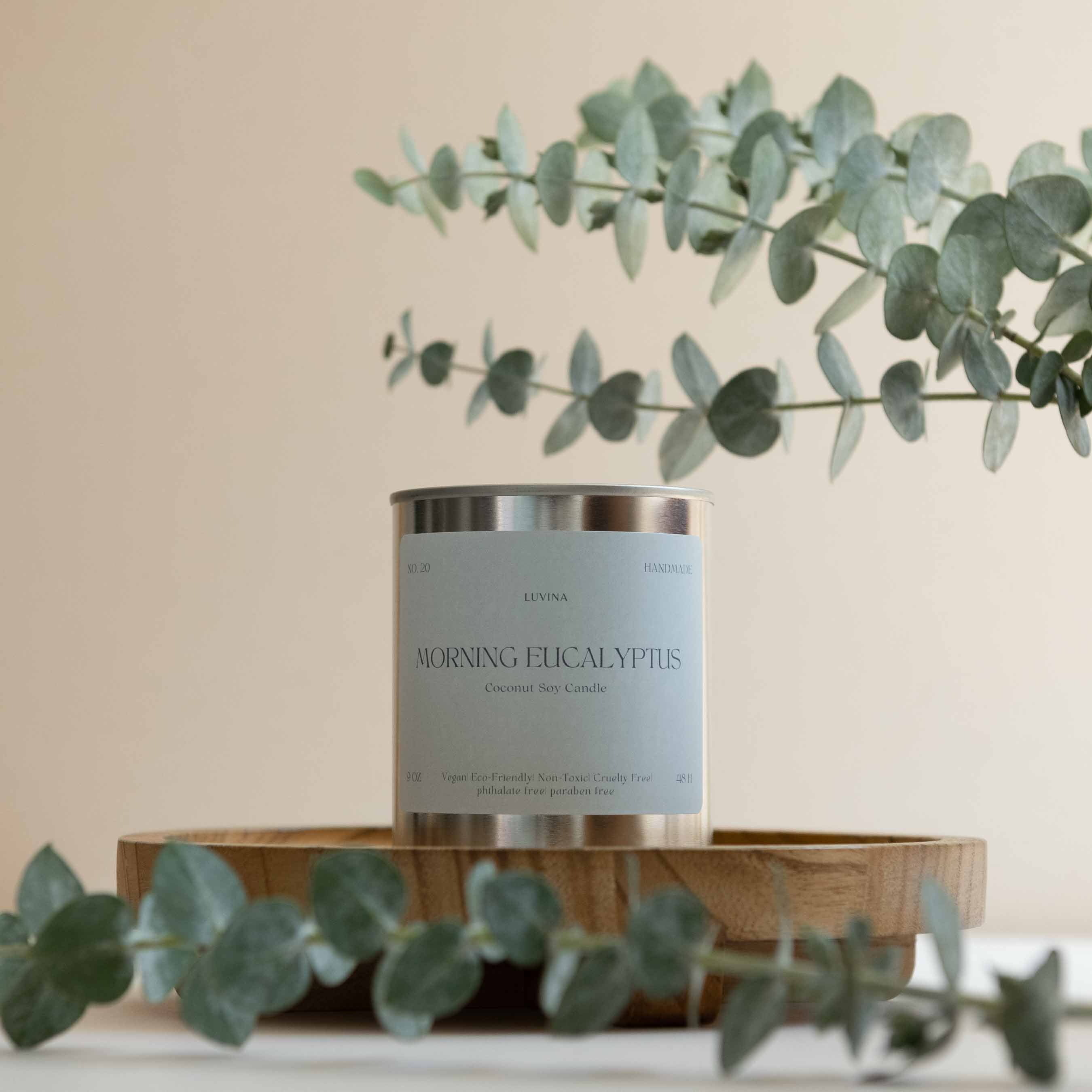 Morning Eucalyptus
